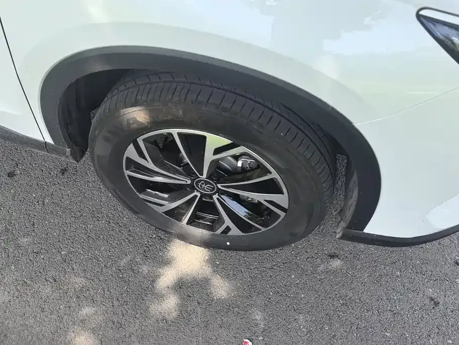 BYD Pro New Energy — фото 10