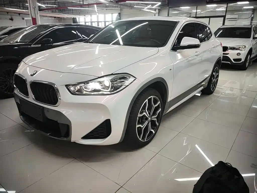 BMW X2 — фото 8