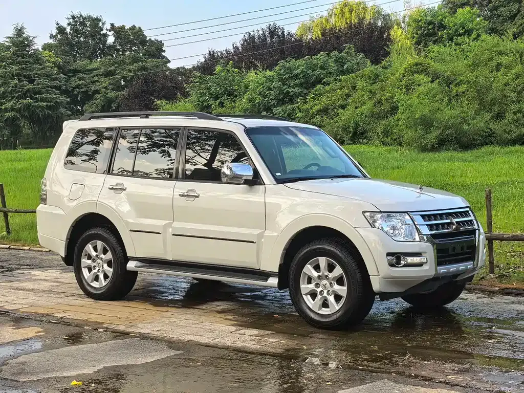 Mitsubishi Pajero (Import) — фото 10