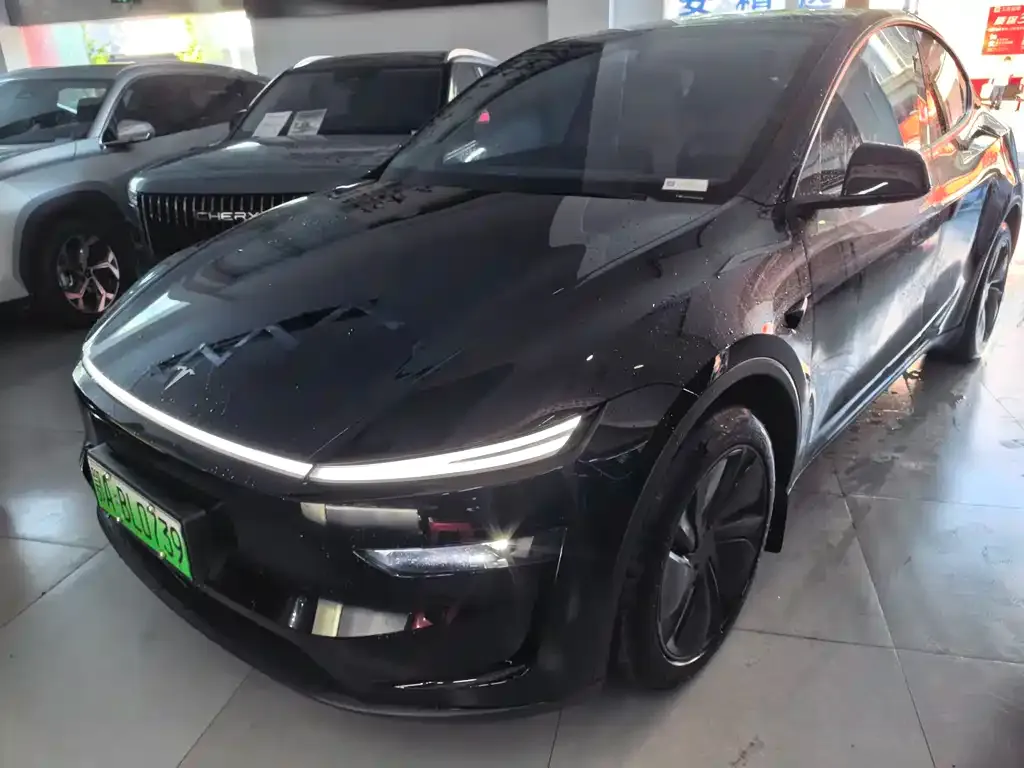 Tesla Model Y — фото 1