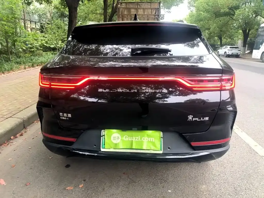 BYD PLUS New Energy — фото 3