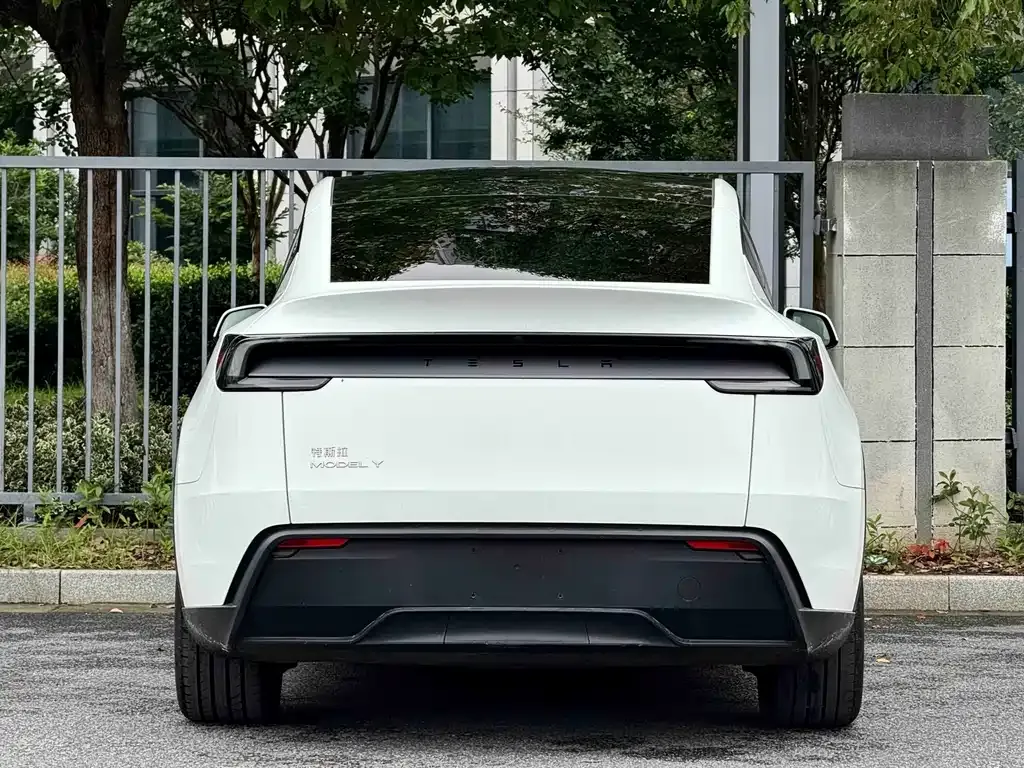 Tesla Model Y — фото 10