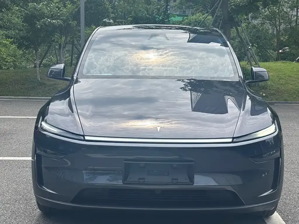 Tesla Model Y — фото 5