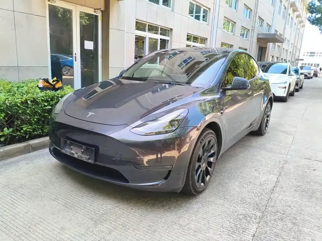 Tesla Model Y — фото 10