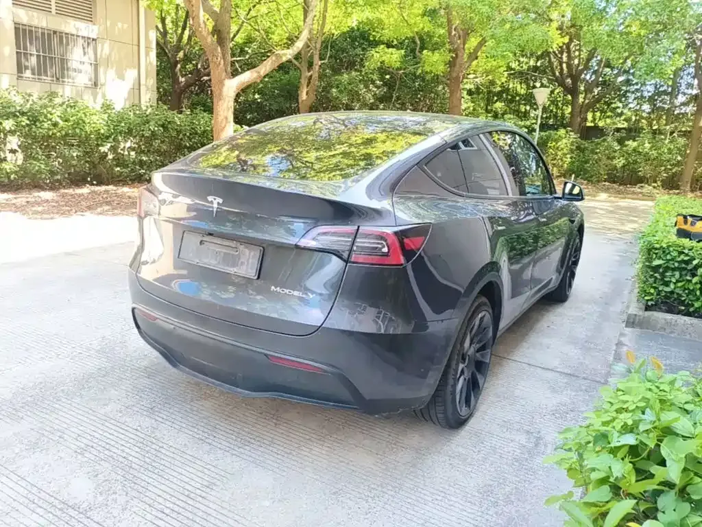 Tesla Model Y — фото 8