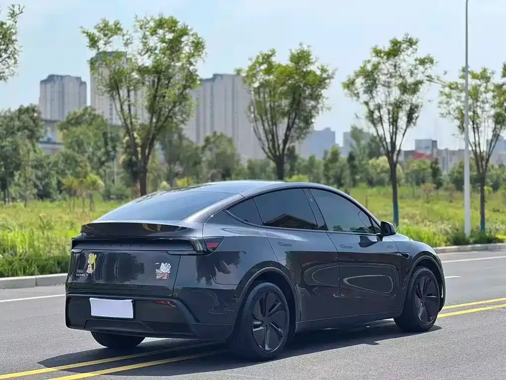 Tesla Model Y — фото 9