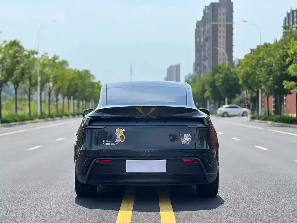 Tesla Model Y — фото 7
