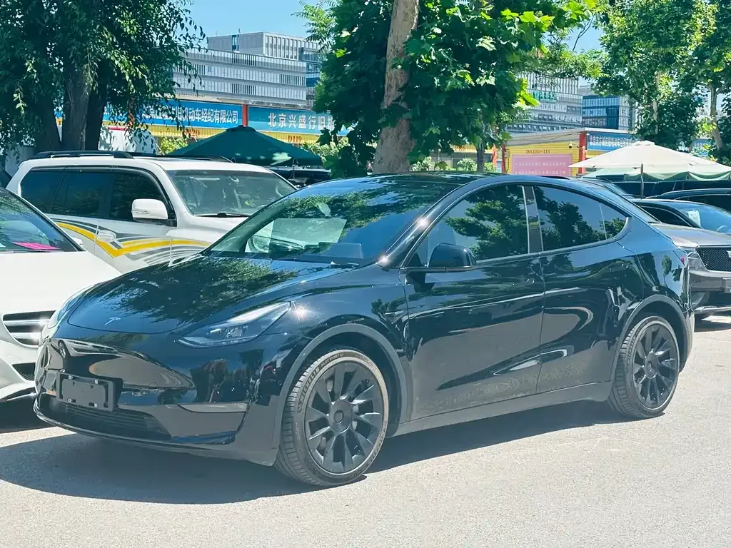 Tesla Model Y — фото 1