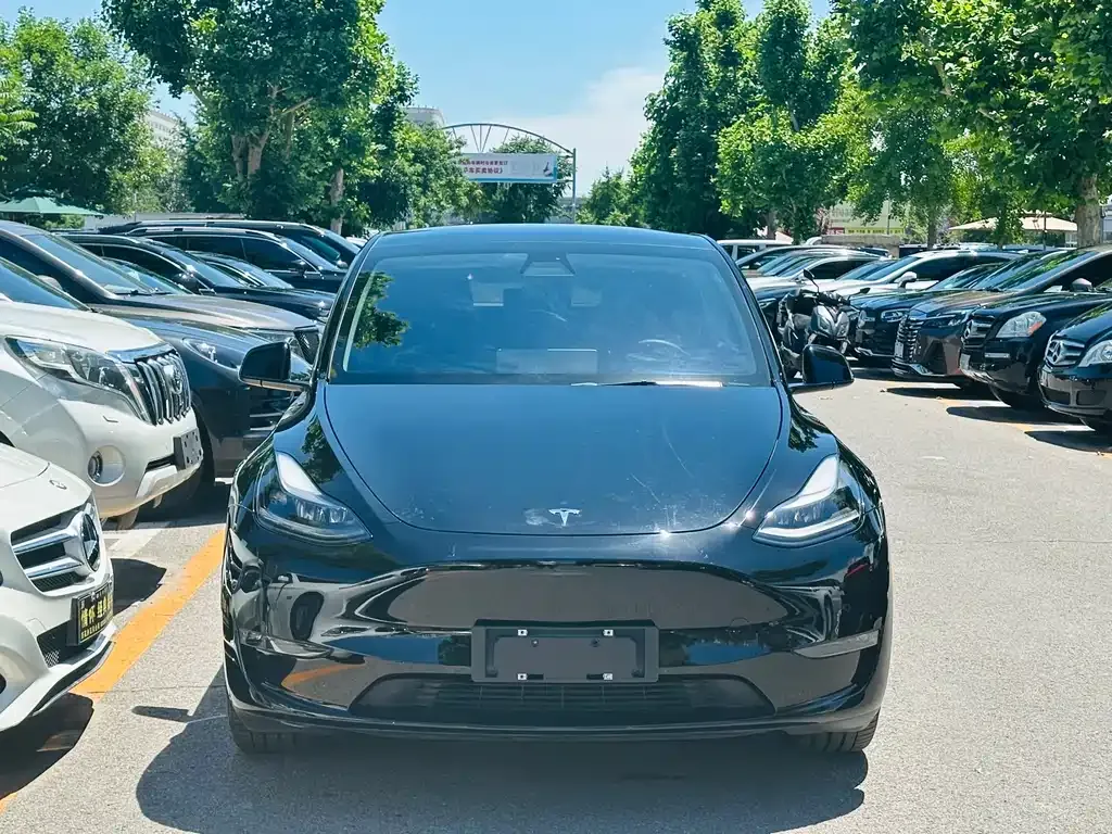 Tesla Model Y — фото 5
