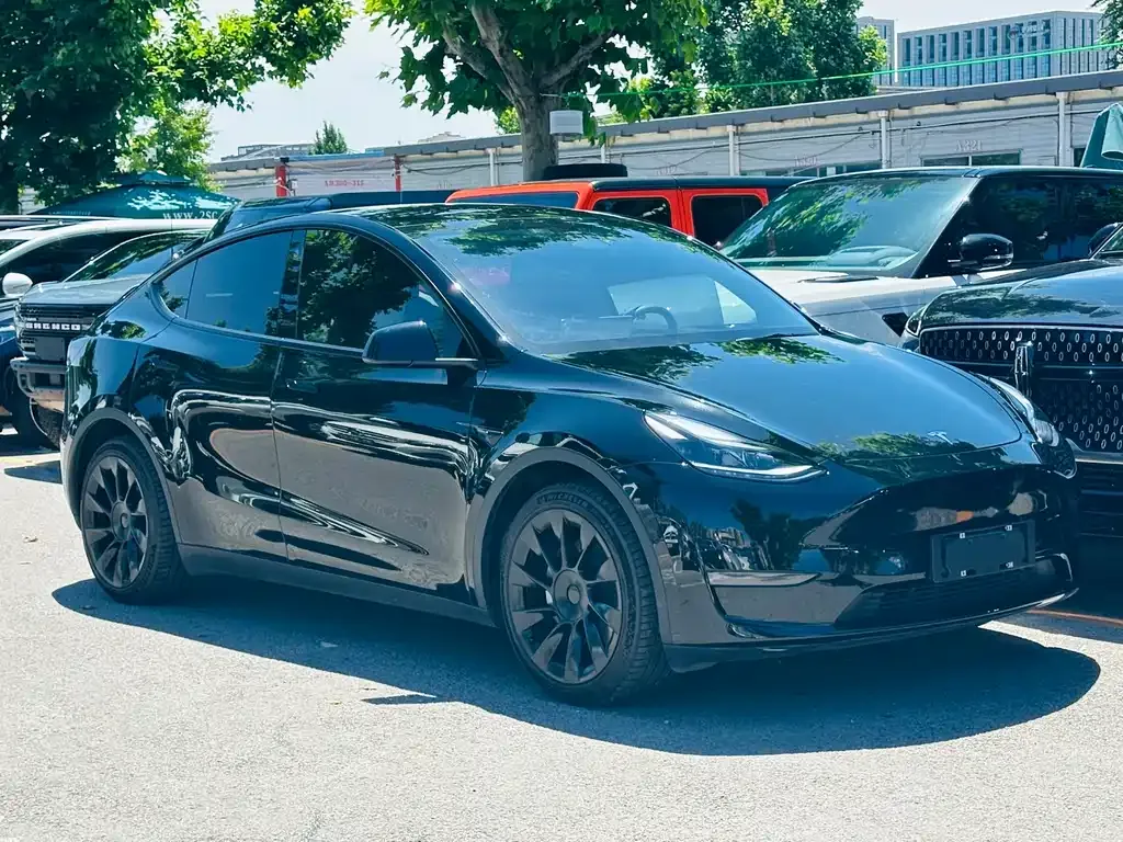 Tesla Model Y — фото 10