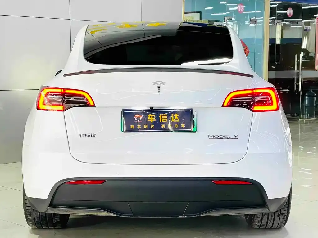 Tesla Model Y — фото 3