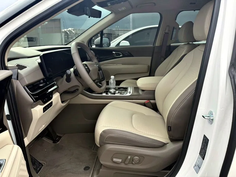 Kia Carnival — фото 10