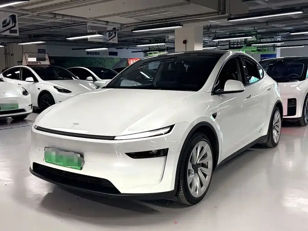 Tesla Model Y — фото 1