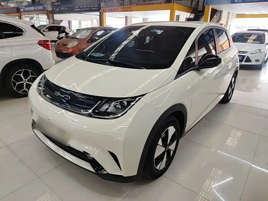 BYD Dolphin