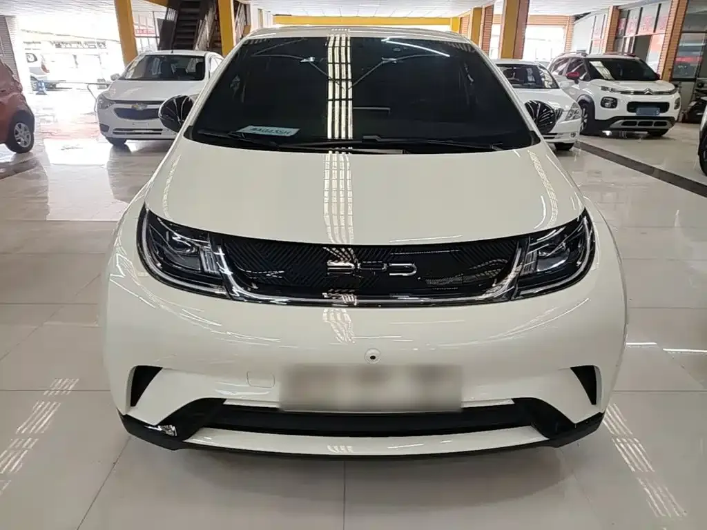 BYD Dolphin 2024 из CN, фото 9