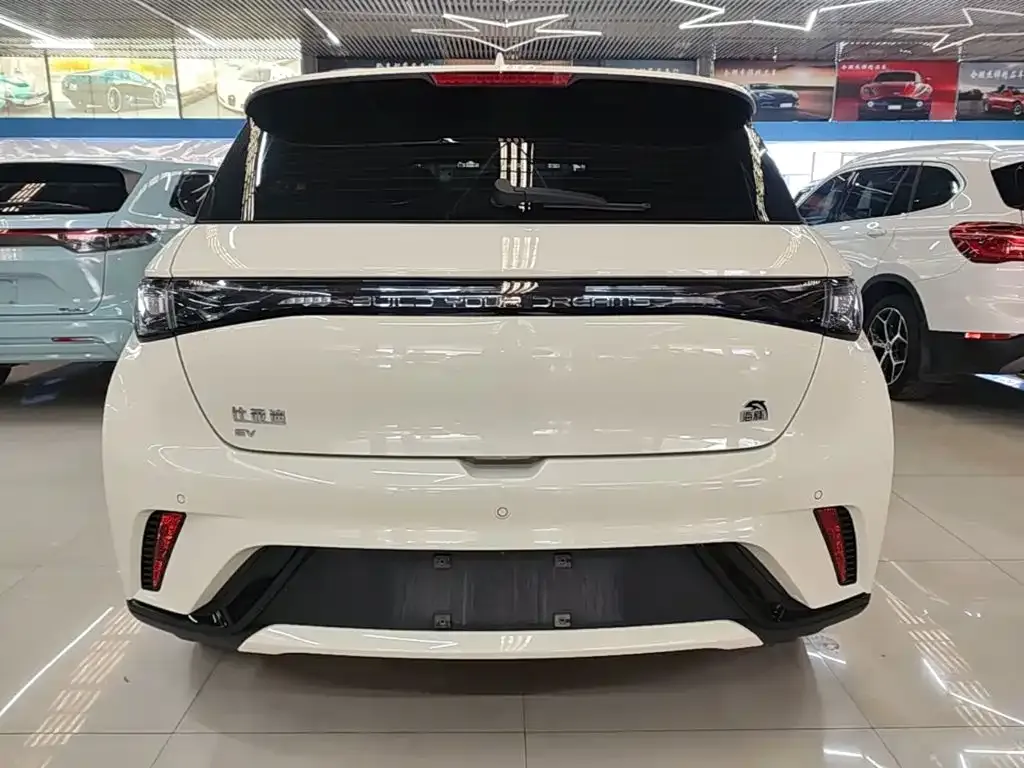 BYD Dolphin 2024 из CN, фото 7