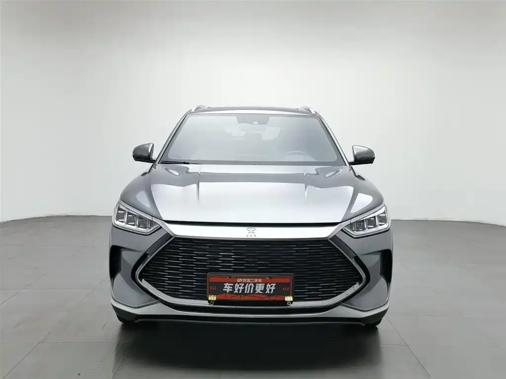 BYD PLUS New Energy 2023 из CN, фото 6