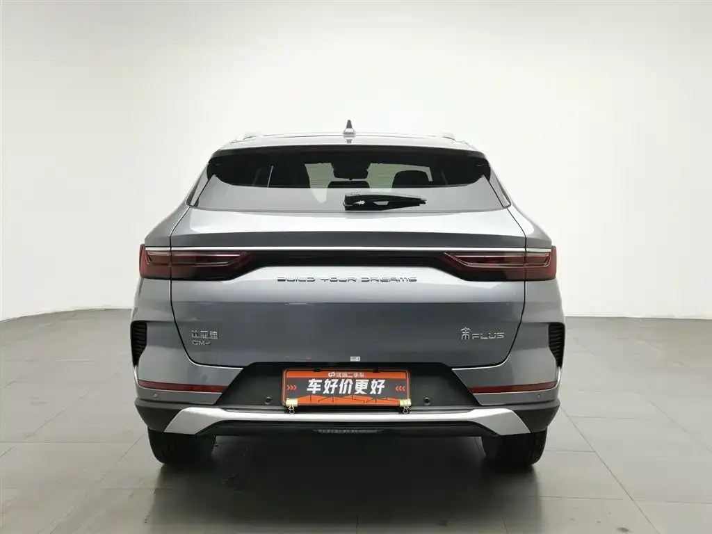 BYD PLUS New Energy 2023 из CN, фото 2