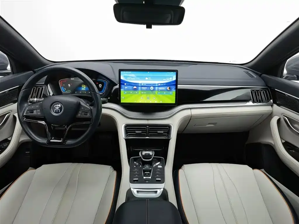 BYD PLUS New Energy 2023 из CN, фото 10