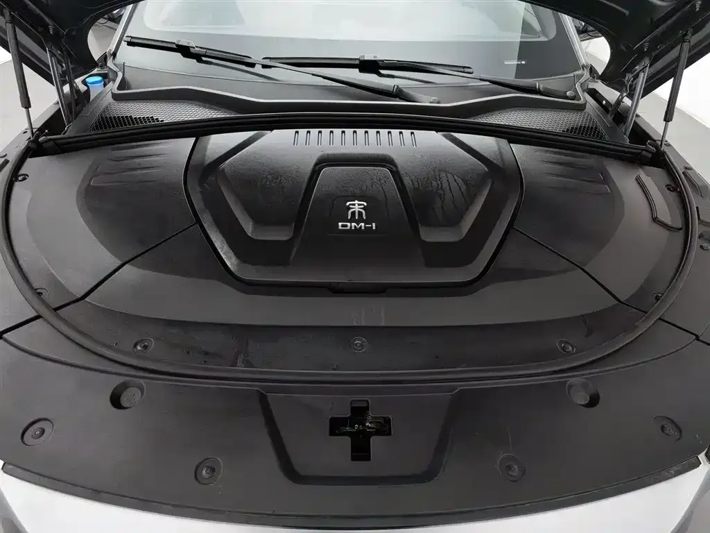 BYD PLUS New Energy 2023 из CN, фото 4