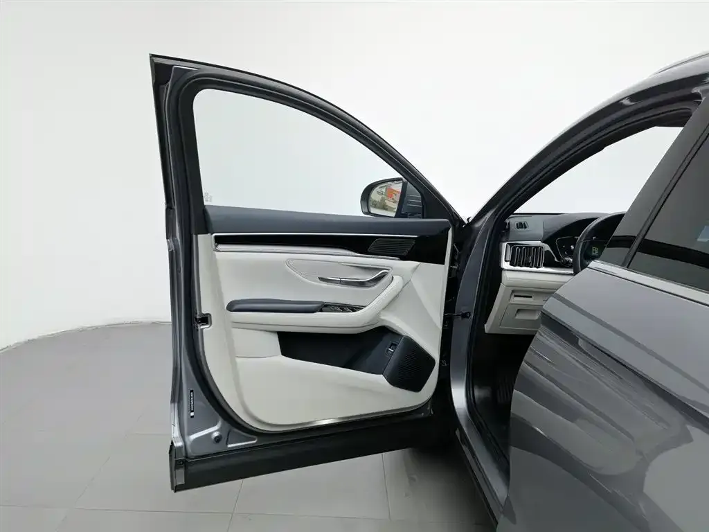BYD PLUS New Energy 2023 из CN, фото 7