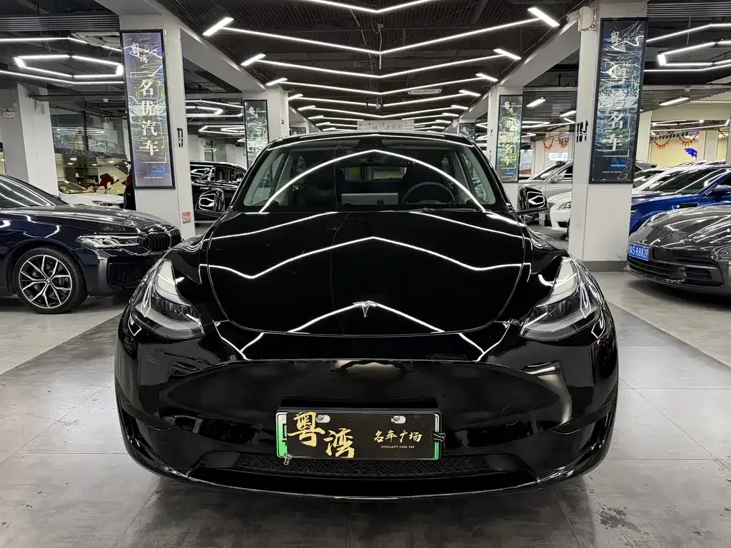 Tesla Model Y — фото 10