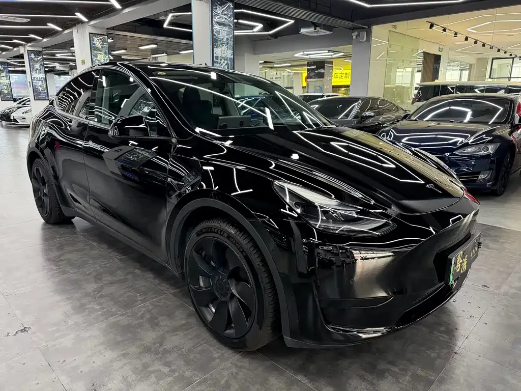 Tesla Model Y — фото 9
