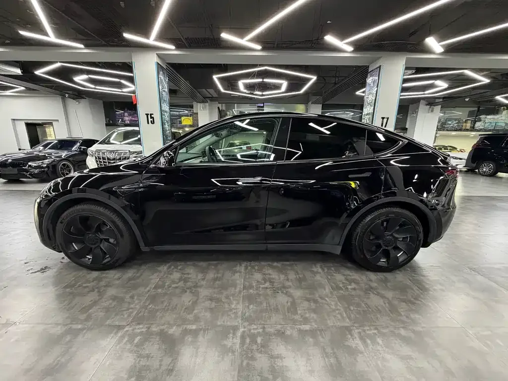 Tesla Model Y — фото 5