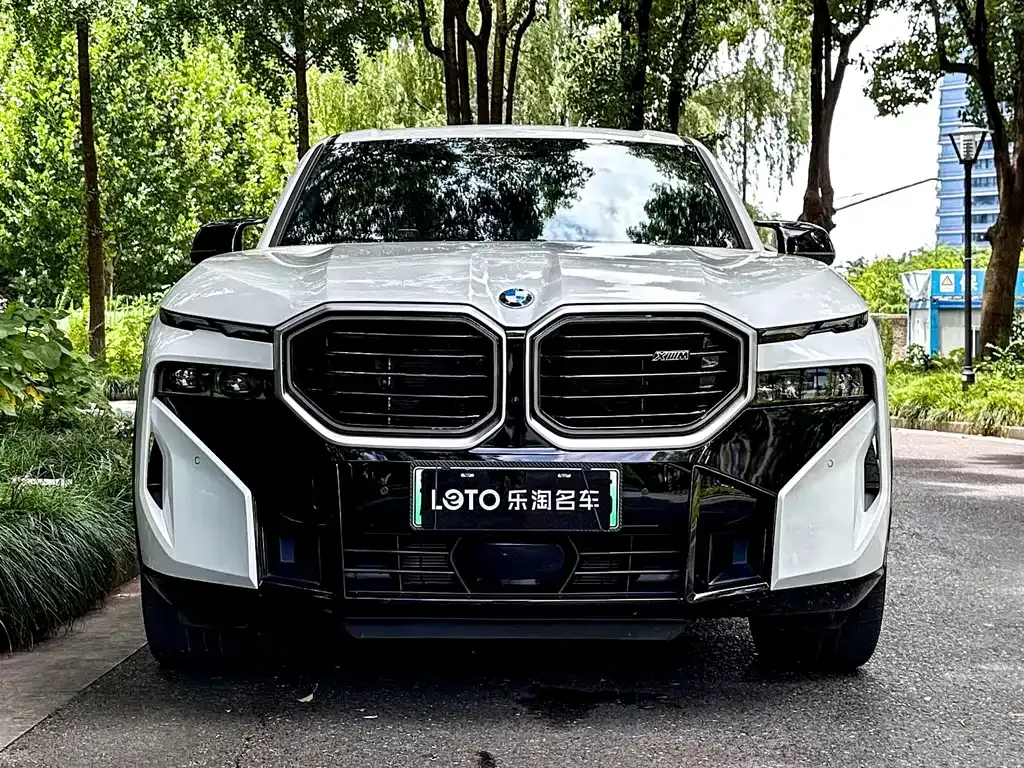 BMW XM — фото 9