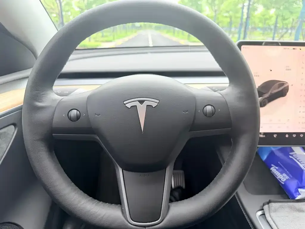 Tesla Model Y — фото 9