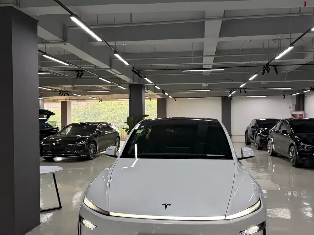Tesla Model Y — фото 4