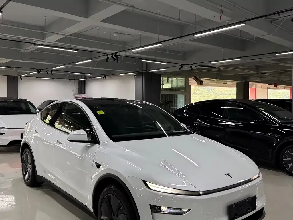 Tesla Model Y — фото 6