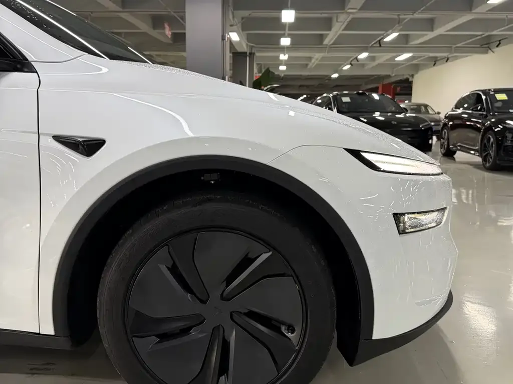 Tesla Model Y — фото 9
