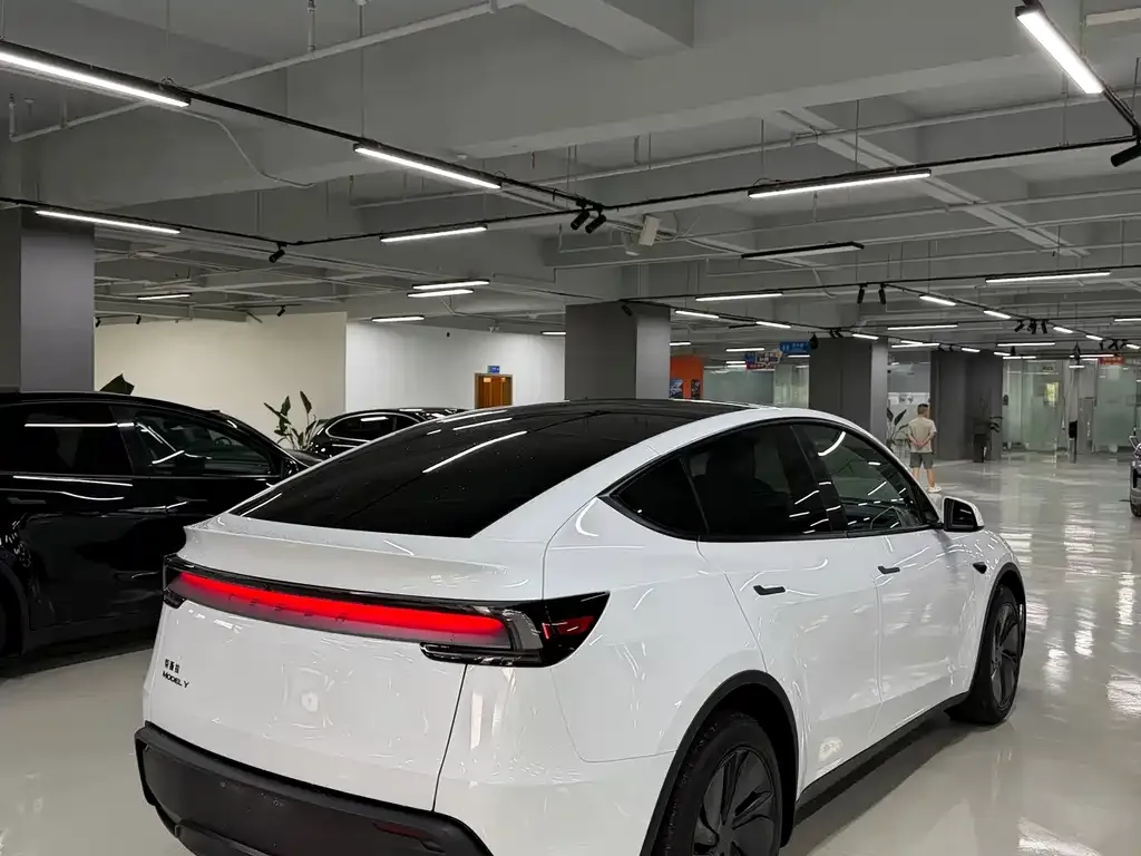 Tesla Model Y — фото 10