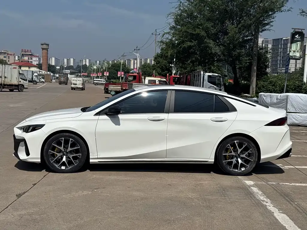 GAC Motor Shadow Leopard — фото 6