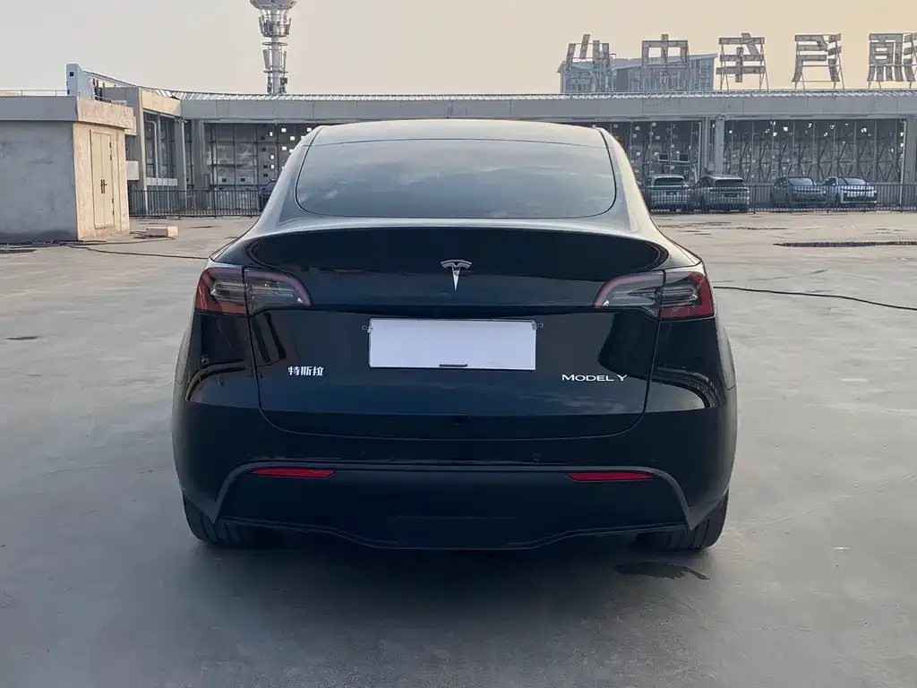 Tesla Model Y — фото 5