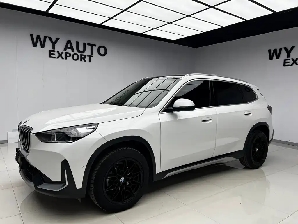 BMW X1 — фото 1