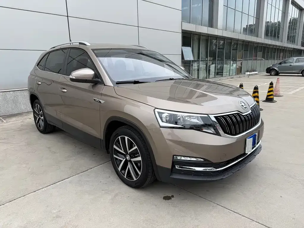 Skoda Kamiq — фото 6