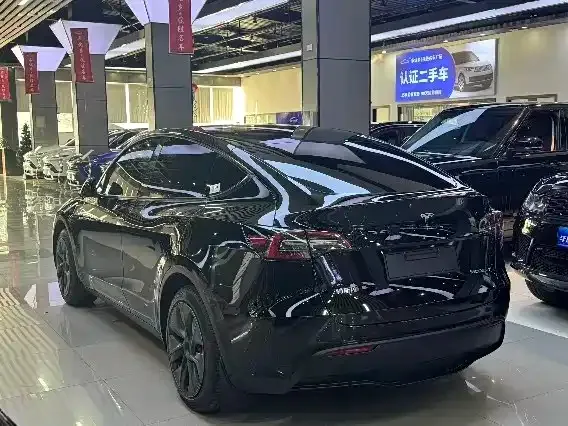 Tesla Model Y — фото 9