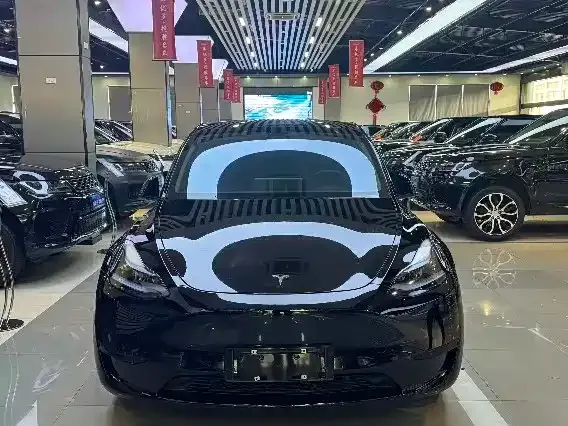 Tesla Model Y — фото 7