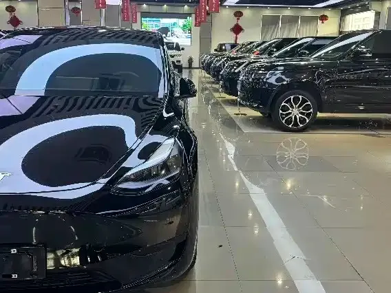 Tesla Model Y — фото 2