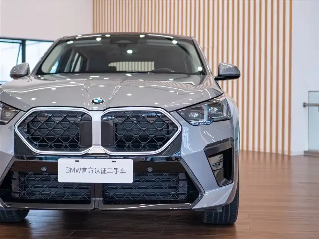 BMW X2 — фото 9
