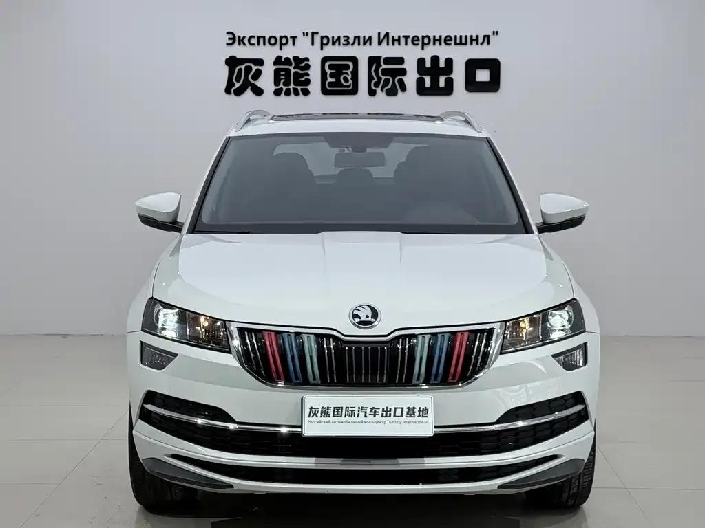 Skoda Karoq 2023 из CN, фото 2