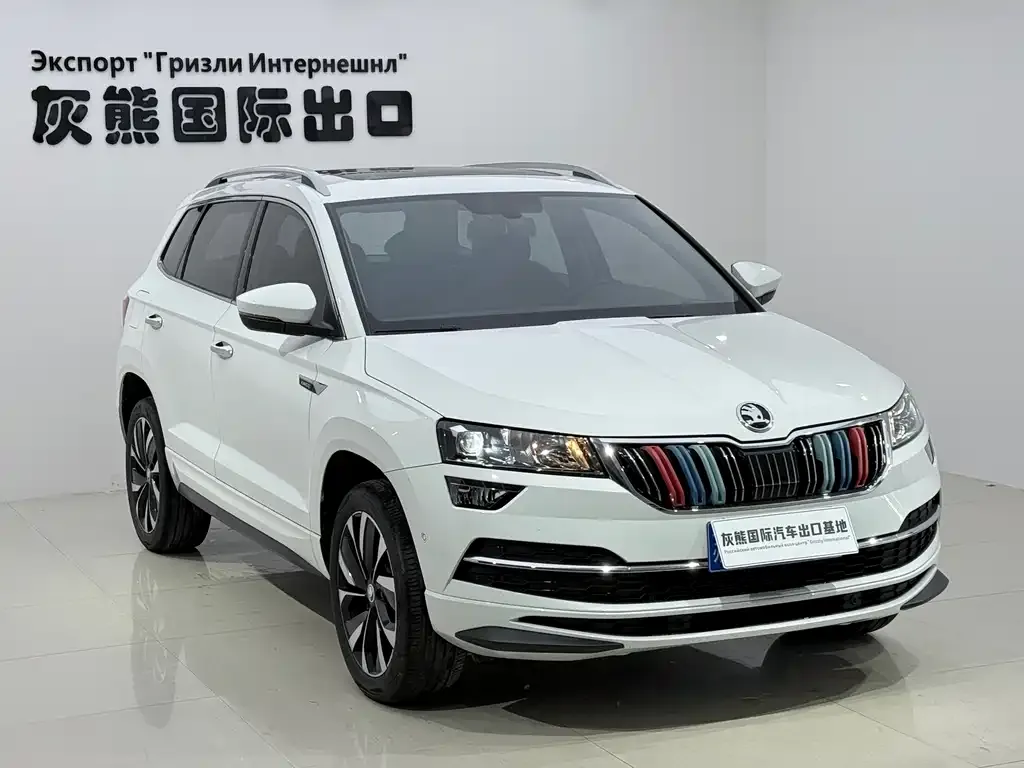 Skoda Karoq 2023 из CN, фото 9