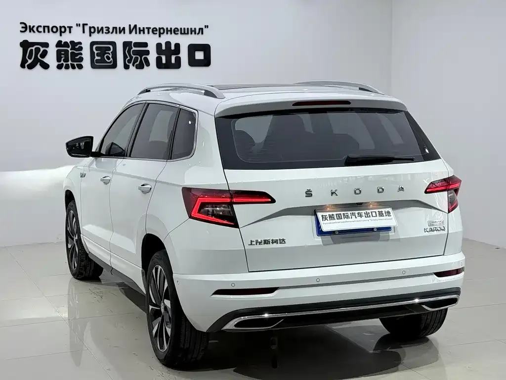 Skoda Karoq 2023 из CN, фото 4