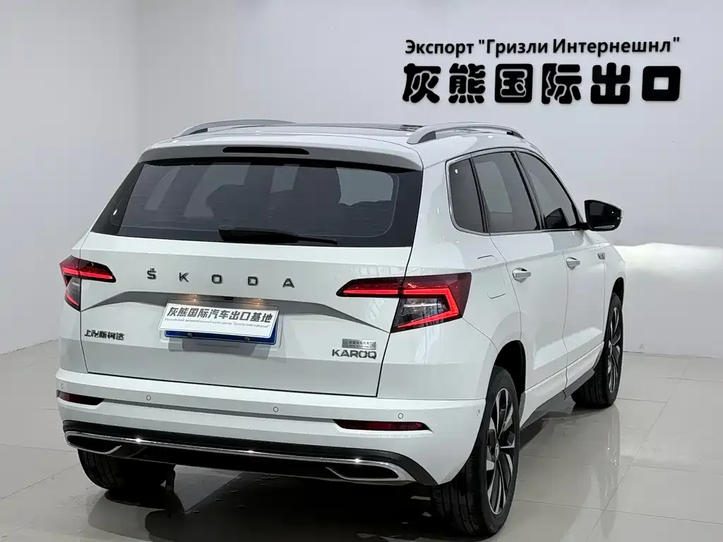 Skoda Karoq 2023 из CN, фото 3