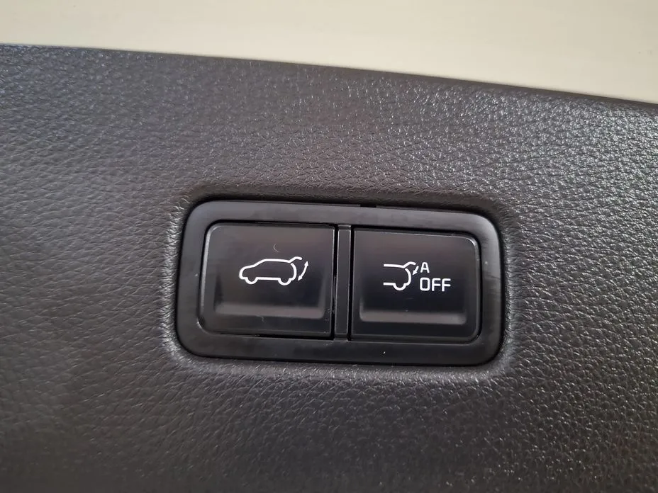 Kia Carnival — фото 10
