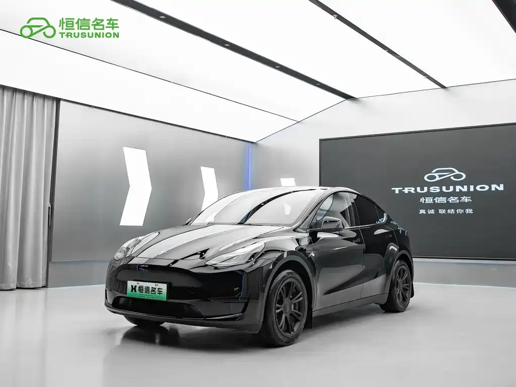 Tesla Model Y — фото 1