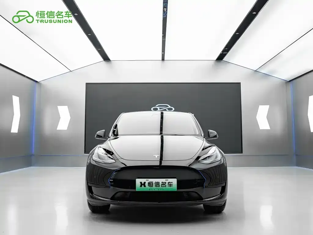 Tesla Model Y — фото 5