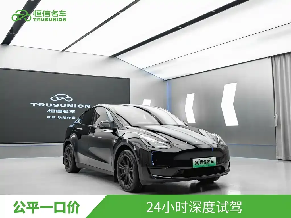 Tesla Model Y — фото 10